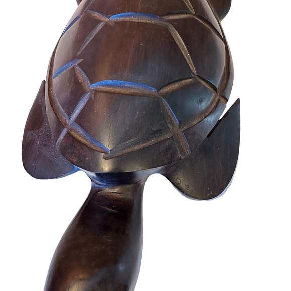 Ironwood Turtle. - Picture 5 of 10